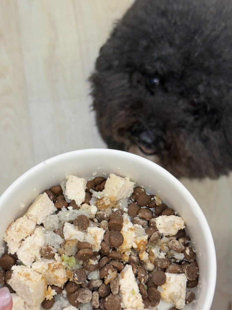 女人知己試用大隊,口碑行銷,部落客行銷,Moegis萌吉 腸道生機專利RBE益生菌,寵物益生菌,專利RBE益生元,專利蔬果酵素,小分子胜肽,藍藻粉,維持免疫力,幫助維持消化道機能,維持正常食慾,改變細菌叢生態,腸胃保健,犬貓適用